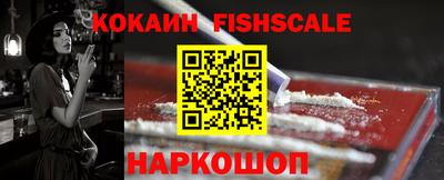 дмт Кингисепп