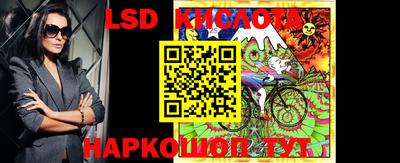дмт Кингисепп