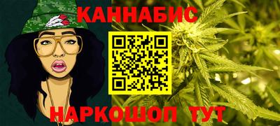 дмт Кингисепп